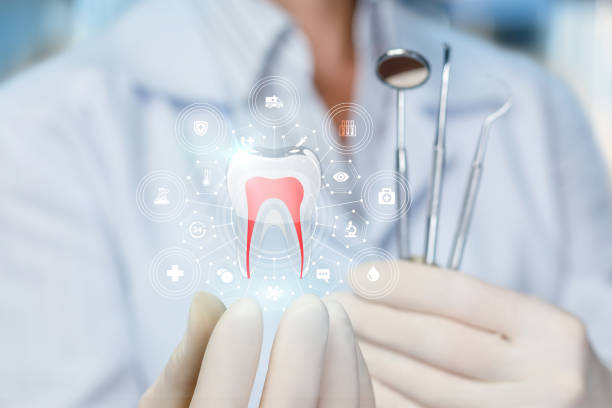 Best Traditional Braces  in Palm River Clair Mel, FL