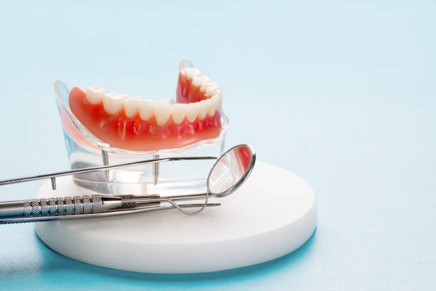 Best Emergency Dental Care  in Palm River Clair Mel, FL