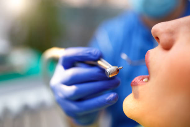 Why Choose Us for Your Dental Needs in Palm River Clair Mel, FL